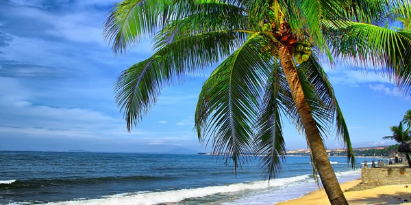 ໜັງສືພິມຝະລັ່ງ: ຫວຽດນາມນັບມື້ນັບ ດູດດື່ມໃຈແຂກທ່ອງທ່ຽວ ລັດເຊຍ